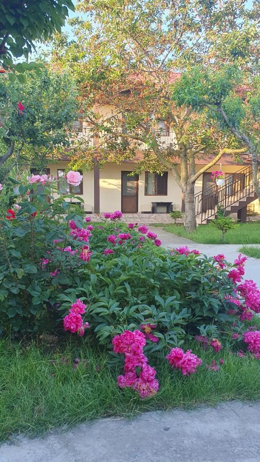 La Babusca Otel Două Mai Dış mekan fotoğraf