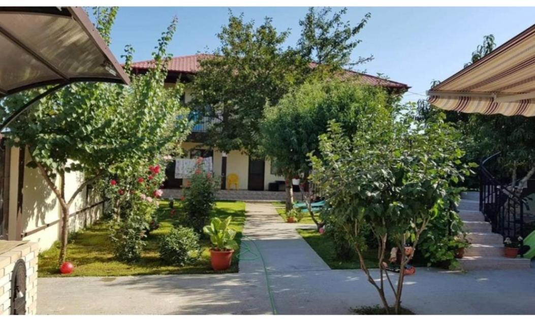 La Babusca Otel Două Mai Dış mekan fotoğraf