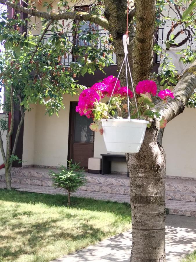 La Babusca Otel Două Mai Dış mekan fotoğraf